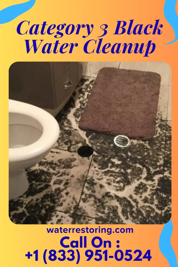 Category 3 Black Water Cleanup in Milan, KS