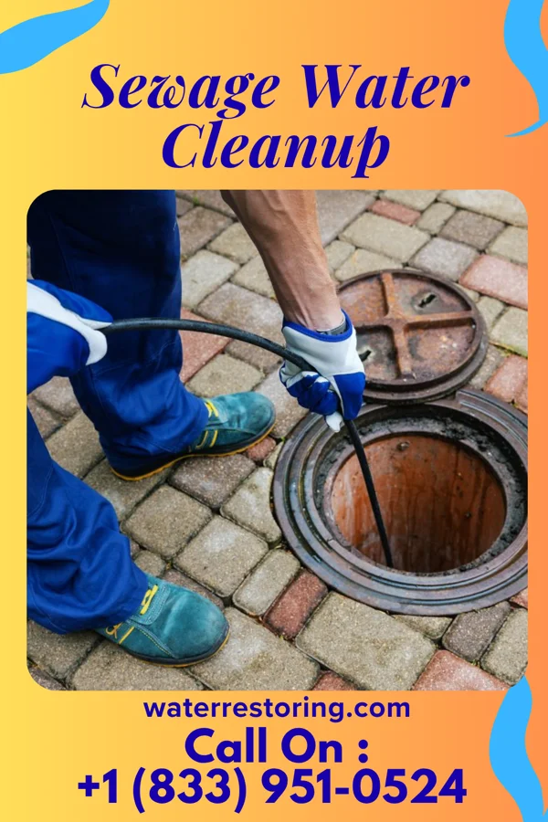 Sewage Water Cleanup in Milan, KS